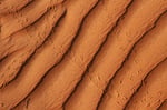 Tierspuren, Wahiba Sands