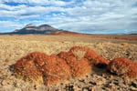 Landschaft beim Dorf  Talabre (Region San Pedro de Atacama), Chile