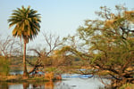 Keoladeo-Nationalpark, Bharatpur, Rajastan