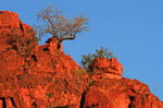Waterberg