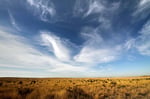 Landschaft bei Marfa, Texas