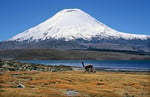 Vulkan Parinacota (6.348 m), Lauca Nationalpark, Chile