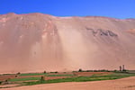 Atacama-Oase in der Nähe von Putre, Chile