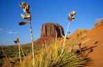 Monument Valley, Arizona