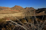 Chiahuahua Desert, Big Bend  Nationalpark, Texas