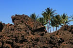 Lavafelder, Kohala Coast