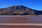 Laguna Colorada, Bolivien