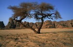 Djado-Plateau, Sahara, Niger