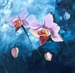 60 Orchideen Öl 50x50