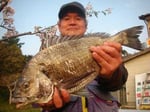 ４月９日　磯から徳永さん　良型チヌ４７㎝