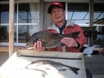 ４月５日　磯から狩野さん　良型チヌ４６㎝・４０㎝