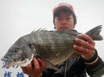 ４月３日　ダゴチン釣りで宮本さん　良型チヌ４８．５㎝