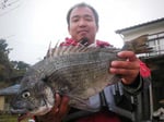 ４月３日　磯から本田さん　良型チヌ４８㎝