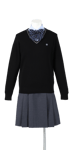 徳島科学技術高校女子合い制服(セーター着用)