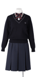 城ノ内中等教育学校女子合い制服(セーター着用)