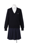 名西高校女子合い制服(セーター着用)