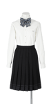 城北高校女子合い制服(長袖ブラウス着用)