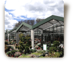 © Steiner Floralmanufaktur.