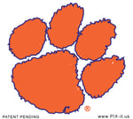 Clemson University