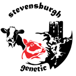 Logo Entwurf, Auftrag...