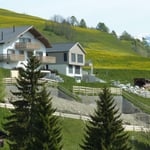 Baugrube Sommer 2014.