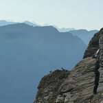 auch die Steinböcke geniessen die Aussicht!