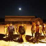 moonlight ride at -20 degrees