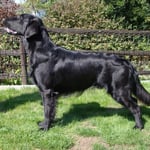 Day (Sanibelbreeze Daily Surprise)