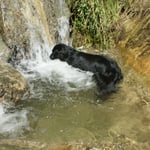 Bliss im schönsten Element für Flats - WASSER