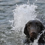 und dann ab ins Wasser zum schwimmen