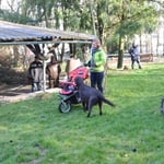 Umweltparcour durchlaufen