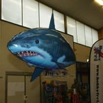 auch fliegende "Fische" gibt's an der Ausstellung...