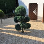 Gartengestaltung