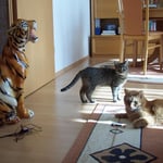 14.10.2007 - Es werden ja immer mehr Tiger hier ...