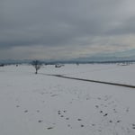 Freies Feld für unsere Landung ...