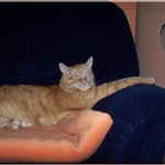 Ich nehm's gelassen ...