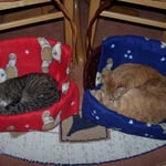 01.12.2007 - Na endlich hat hier jeder sein eigenes "Präsent-Körbchen" ...