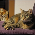 Prinzessin "Kessy" ...