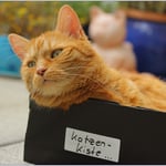 Gut dass es dran steht ...