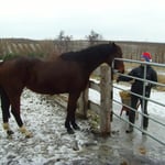 06.01.2008 - Es ist alles vereist, Eva kann nichts mit Anka machen ...