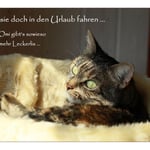 Bei Omi gibt's mehr Leckerlis ...