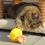 Kessy in Spiellaune ...