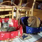 16.02.2008 - So kann man das Wochenende genießen ...