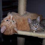 20.08.2007 - Immer muss sie das machen, was ich auch gerade mache ...