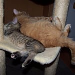 20.08.2007 - Hier ist es doch schon eng genug ...