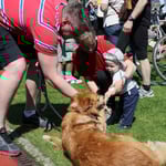 Man fängt schon zeitig an ...