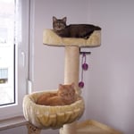 27.02.2008 - O.k. heute darfst Du mal auf den Thron ...