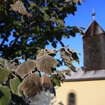 Korrektur der Gradienten ...