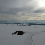 Aber auf diesem Misthaufen wollen wir bitte nicht landen ...