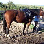 08.10.2006 - Aber schön stehen bleiben ...